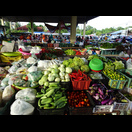 Markt